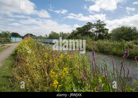 View of Ash Aqueduct on the Basingstoke Canal in Surrey, UK Stock Photo