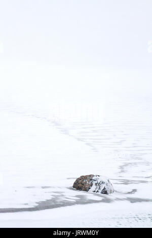 Snow covered beach and rock in whiteout conditions during a winter storm