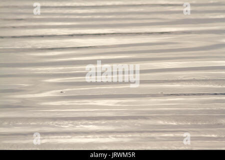 Close up photography of natural abstract patterns on the beach created by wet sand and small waves in the late afternoon sun Stock Photo