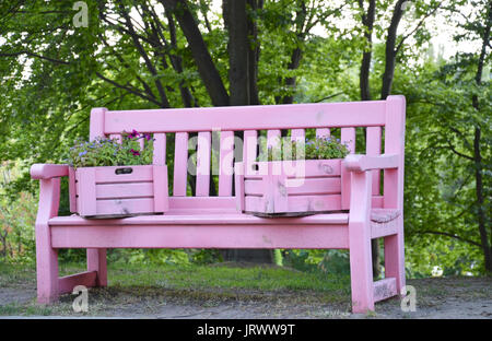 In the summer in the park a beautiful pink bench, with flowering plants in ornamental wooden pink boxes Stock Photo