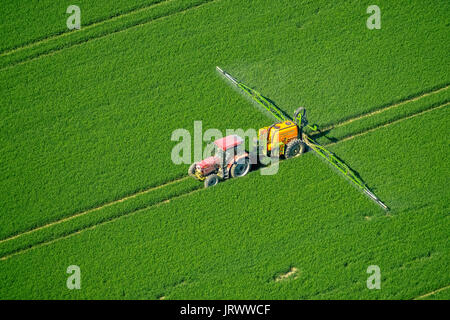 Tracker spraying pesticides on a green grain field, agriculture, aerial photo, Warstein, Sauerland, North Rhine-Westphalia Stock Photo