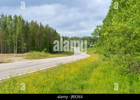 Road goes into distance. Finnish Lapland. Summer Stock Photo