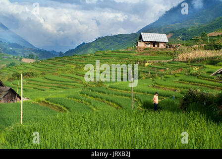 Sunset in the rice terraces nearby of Lao Chai village. Trekking Sapa to Lao Chai. Vietnam. Stock Photo