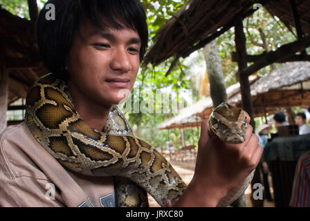 A tourist takes pictures with a boa snake in Turtle Island (Con Qui). Mekong Delta, Vietnam. Stock Photo