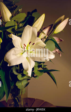 White lilies flowers in bouquet against dark background Stock Photo