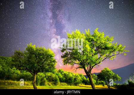 A view of the stars of the Milky Way. Green plum trees with plums high in the mountain in the foreground. Night sky nature summer landscape. Perseid M Stock Photo