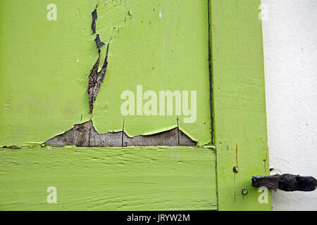 Lime green painted wooden panel texture background Stock Photo
