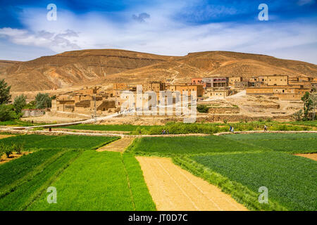 Agriculture, Tilmi mountain village. Dades Valley, Dades Gorges, High Atlas. Morocco, Maghreb North Africa Stock Photo