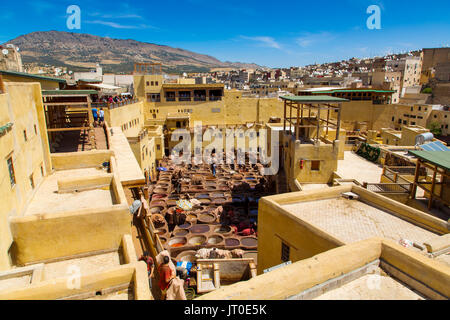 Chouwara traditional leather tannery. Souk Medina of Fez, Fes el Bali. Morocco, Maghreb North Africa Stock Photo