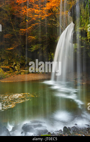 A Vertical Image Of A Waterfall Surrounded By Moss And A Tree Branch Stock Photo Alamy