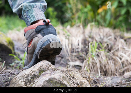 young woman hiking through forest. hiker walking on mountain. traveler trekking on hill. outdoor adventure concept. Stock Photo