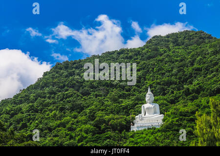great big buddha statue on hill and many tree forest around Stock Photo
