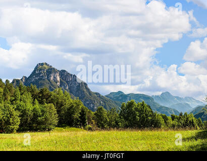 Idyllic landscape in the Alps with fresh green meadows Stock Photo