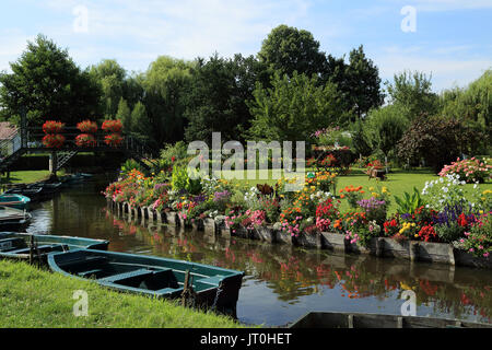 The floating gardens of Les Hortillonnages from footpath close to Chemin du Malaquis in Amiens, Somme, Hauts de France, France Stock Photo