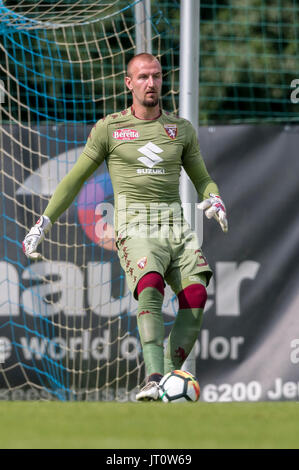 Vanja Milinkovic-Savic (Torino Football Club) during the Italian Serie A  soccer match Bologna Fc Vs Torino FC at the / LM Stock Photo - Alamy