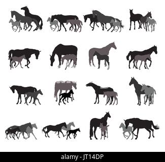 Group of black and grey isolated silhouettes of horses (stallions, mares and foals) standing, walking, running on white background. Vector illustratio Stock Vector