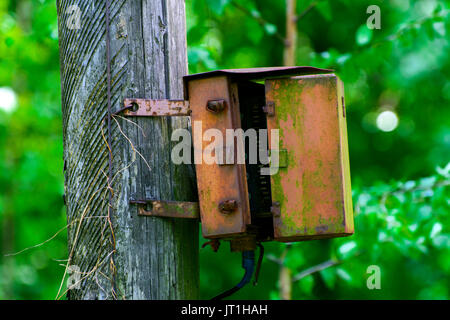 An old rusty electrical junction box on a wooden pole in the city park. Stock Photo