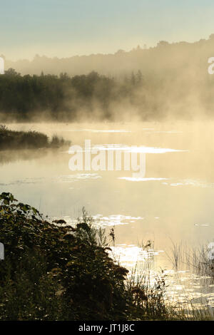 Beautiful unspoiled Canadian lake covered in mist at sunrise. Beautiful unspoiled Canadian lake covered in mist at sunrise.