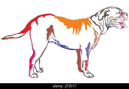 Colorful decorative portrait of standing in profile Dogue de Bordeaux, vector isolated illustration on white background Stock Vector