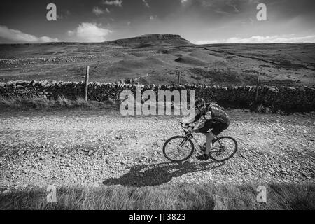 Chris Riley, climbing the third summit of Penyghent, in the 3 Peaks Cyclocross, Yorkshire Dales, UK. Stock Photo