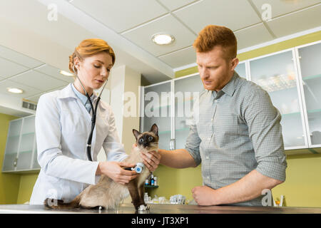 Woman veterinary ausculting cat with stethoscope at clinic Stock Photo