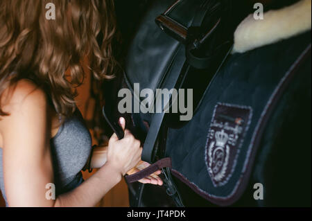 woman wears a saddle horseman Friesian horse in the stables on the farm, taking care of purebred pets Stock Photo