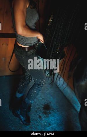 female horseman holding a bucket of water quenching thirst  Friesian horse, in a stable on a farm, caring for thoroughbred pets Stock Photo