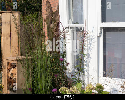 Gardeners world live Artemis Landscapes ‘Living in Sync’ Garden. Stock Photo