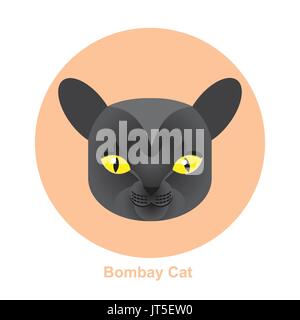 Colorful Cartoon Bombay Cat in Circle, happy and running on white background - Vector clipart illustration Stock Vector