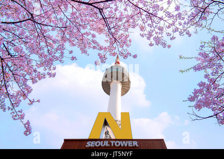 SEOUL - APRIL 9 : N Seoul Tower  and Cherry blossom in Spring.Photo taken on April 9,2015 in seoul,South Korea. Stock Photo