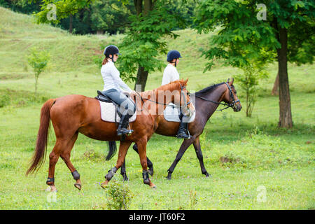 Two young women riding horse in park. Horse walk in summer Stock Photo