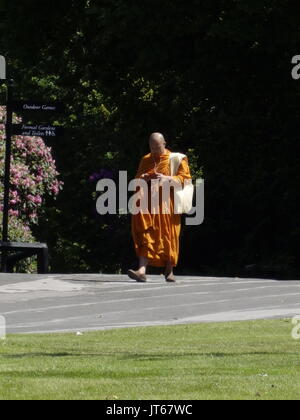 A buddhist monk listening to music on an iphone Stock Photo