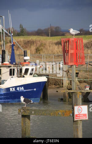 A SUNNY PORTRAIT STYLE PHOTO OF A BLUE AND WHITE FISHING BOAT ON THE RIVER AT RYE HARBOUR IN EAST SUSSEX WITH GULLS VISIBLE AND DARK SKY AND FIELDS Stock Photo