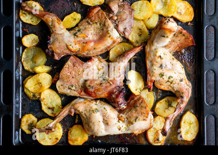 Roasted rabbit with potatoes and herbs on a oven tray. Top view Stock Photo