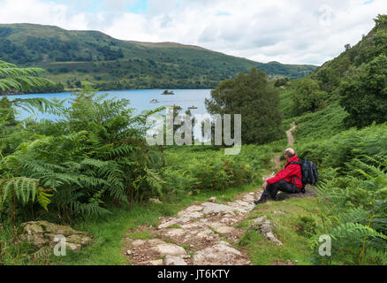 A man looks out over Ullswater Lake in the Lake District, UK Stock Photo