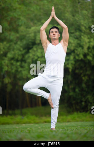 Asian man practicing Tai Chi in a garden. healthy lifestyle and relaxation Stock Photo