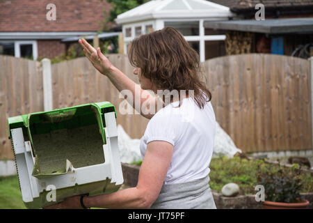 A casually dressed woman mowing the lawn with a VIKING MA339C cordless lawnmower. Candid. Summer, UK. Stock Photo