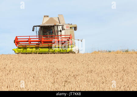 Claas Lexion 650 Combine harvester harvesting a field of wheat with cutter bar raised as it turns on the skyline in evening lght with copy space. Fron Stock Photo