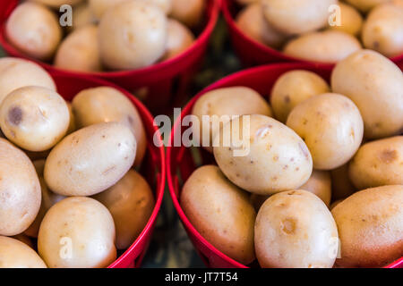 New fresh crop of gold potatoes on display at farmers market in baskets Stock Photo