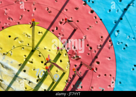 Archery, Target Practice, Arrows, Fletchings, Punchers on the Board, Shadows Cast off of the Arrows, Nocking Point, Arrow Shaft, Scoring Zone, Sports Stock Photo