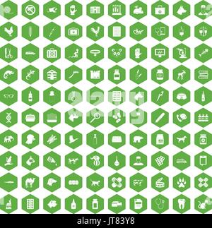 100 veterinary icons hexagon green Stock Vector