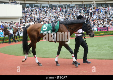 Fukuoka, Japan. 6th Aug, 2017. Fermezza Horse Racing : Fermezza is led through the paddock before the Kokura Kinen at Kokura Racecourse in Fukuoka, Japan . Credit: Eiichi Yamane/AFLO/Alamy Live News Stock Photo