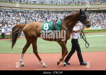 Fukuoka, Japan. 6th Aug, 2017. San Martin Horse Racing : San Martin is led through the paddock before the Kokura Kinen at Kokura Racecourse in Fukuoka, Japan . Credit: Eiichi Yamane/AFLO/Alamy Live News Stock Photo