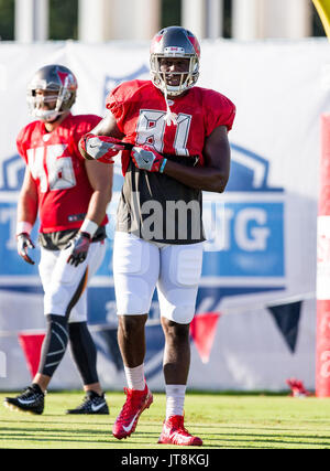 Tampa Bay Buccaneers tight end Cade Otton during a Back Together Weekend  NFL football training camp practice Sunday, July 30, 2023, in Tampa, Fla.  (AP Photo/Chris O'Meara Stock Photo - Alamy