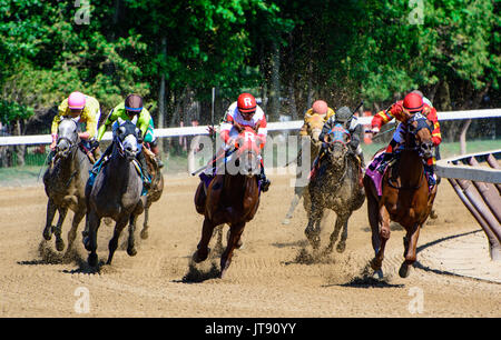 Horses reach the top of the stretch at Saratoga Race Track in Saratoga Springs, New York. Stock Photo