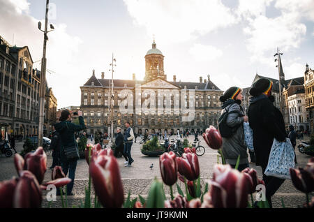 Amsterdam, Netherlands - 25 April, 2017: Royal Palace on the Dam Square on background of couple of tourist in rastaman hats and tulips in the evening. Stock Photo