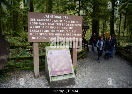 Visitors walking on a trail in protected old growth rainforest of Cathedral Grove, near Port Alberni, on Vancouver Island, British Columbia, Canada Stock Photo