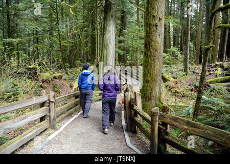 Visitors walking on a trail in protected old growth rainforest of Cathedral Grove, near Port Alberni, on Vancouver Island, British Columbia, Canada Stock Photo