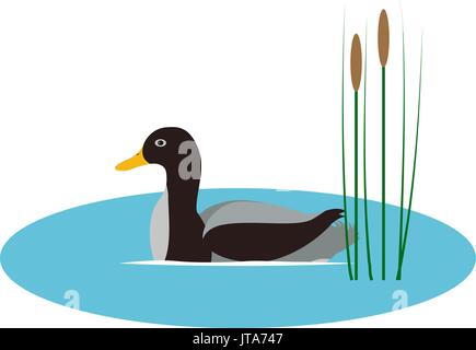 Vector illustration wild duck in pond with reeds Stock Vector