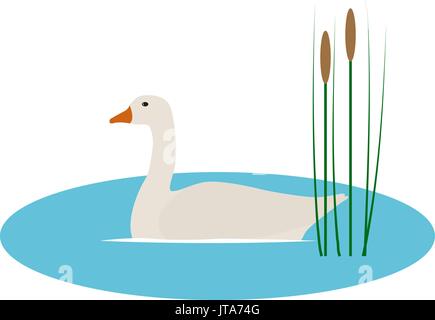 Vector illustration wild goose in pond with reeds Stock Vector